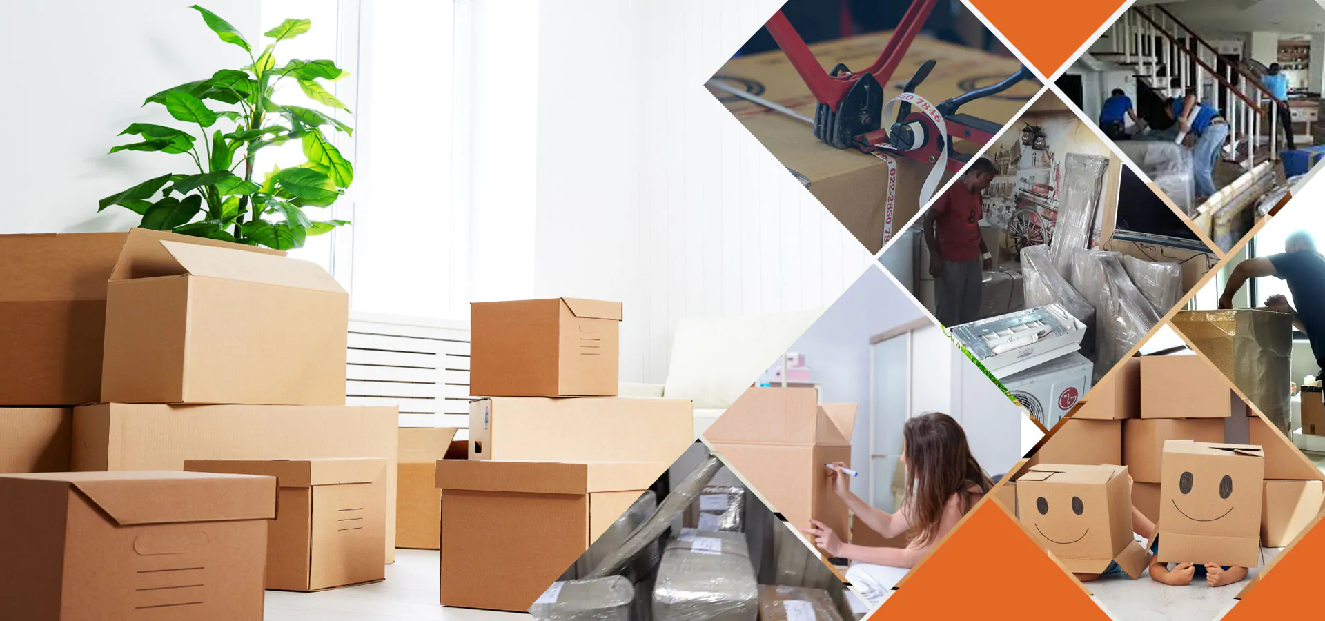 Professional Packers and Movers Team